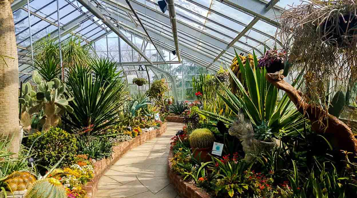 Toronto Slow Life Experience: A Guide to Cafés and City Parks